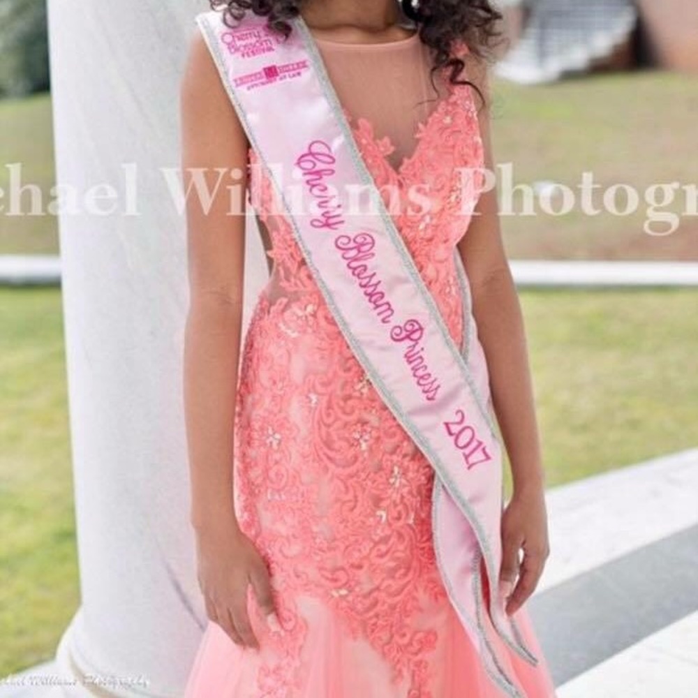 Prom/Pageant dress! - Picture 2 of 4